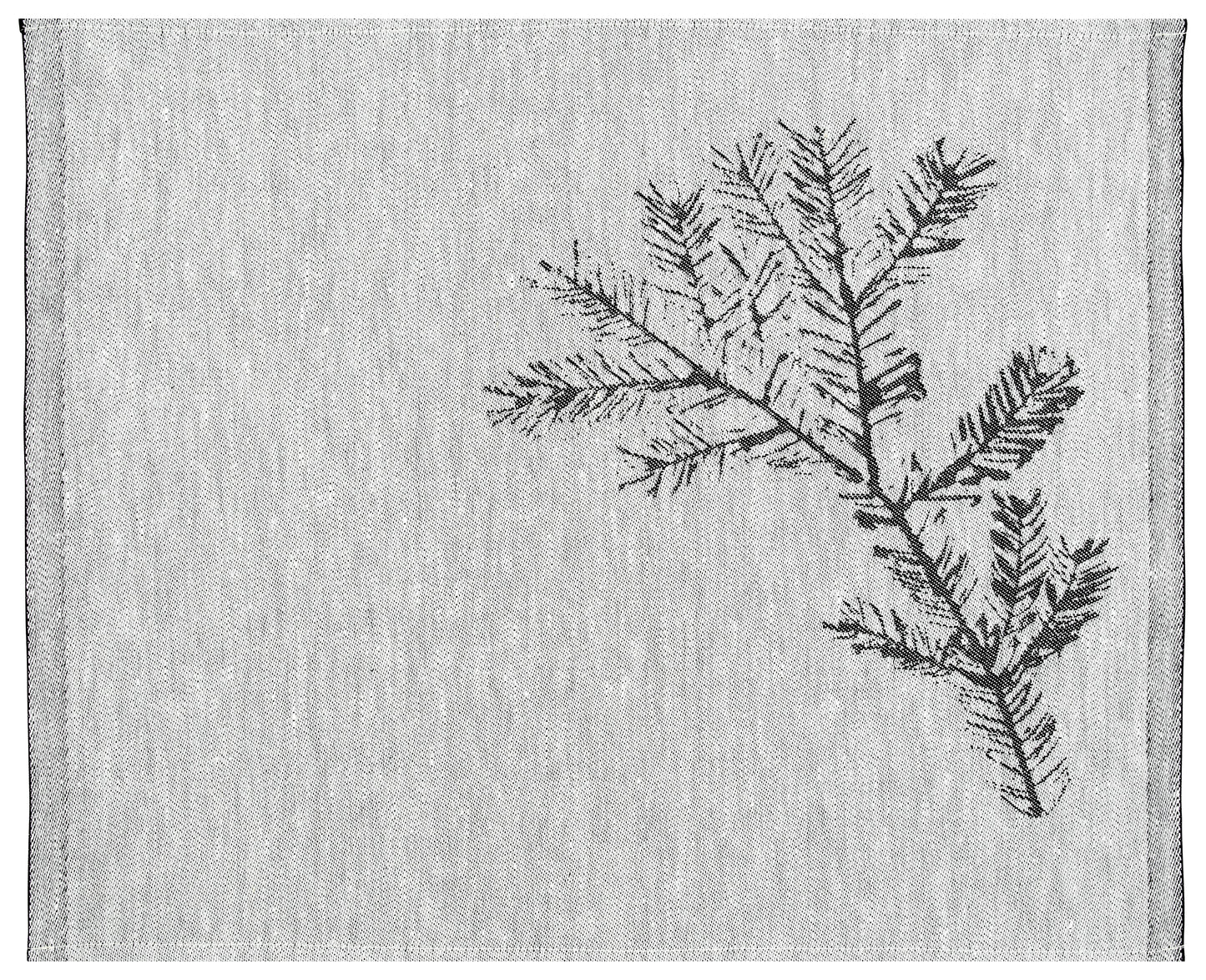 HAVU X TEEMU JÄRVI placemat - white-black